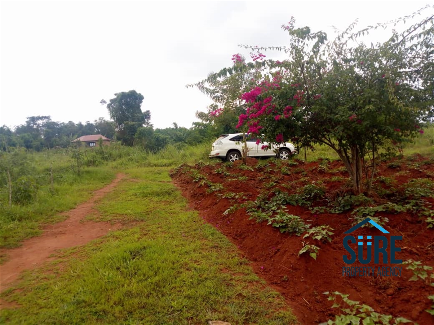 Residential Land for sale in Nakweelo Wakiso