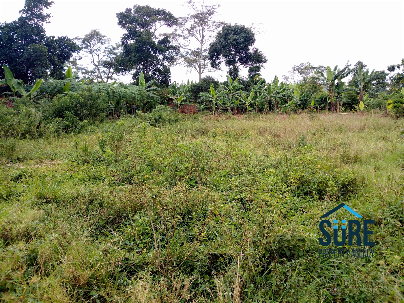 Residential Land for sale in Nakassajja Mukono