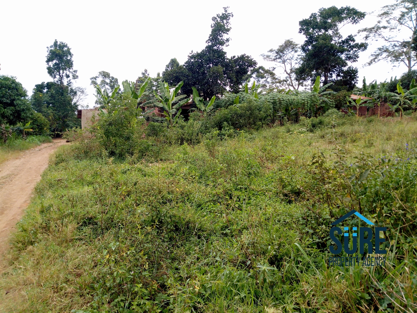 Residential Land for sale in Nakassajja Mukono