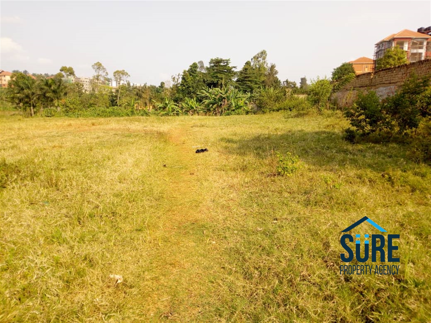 Residential Land for sale in Kiwaatule Kampala