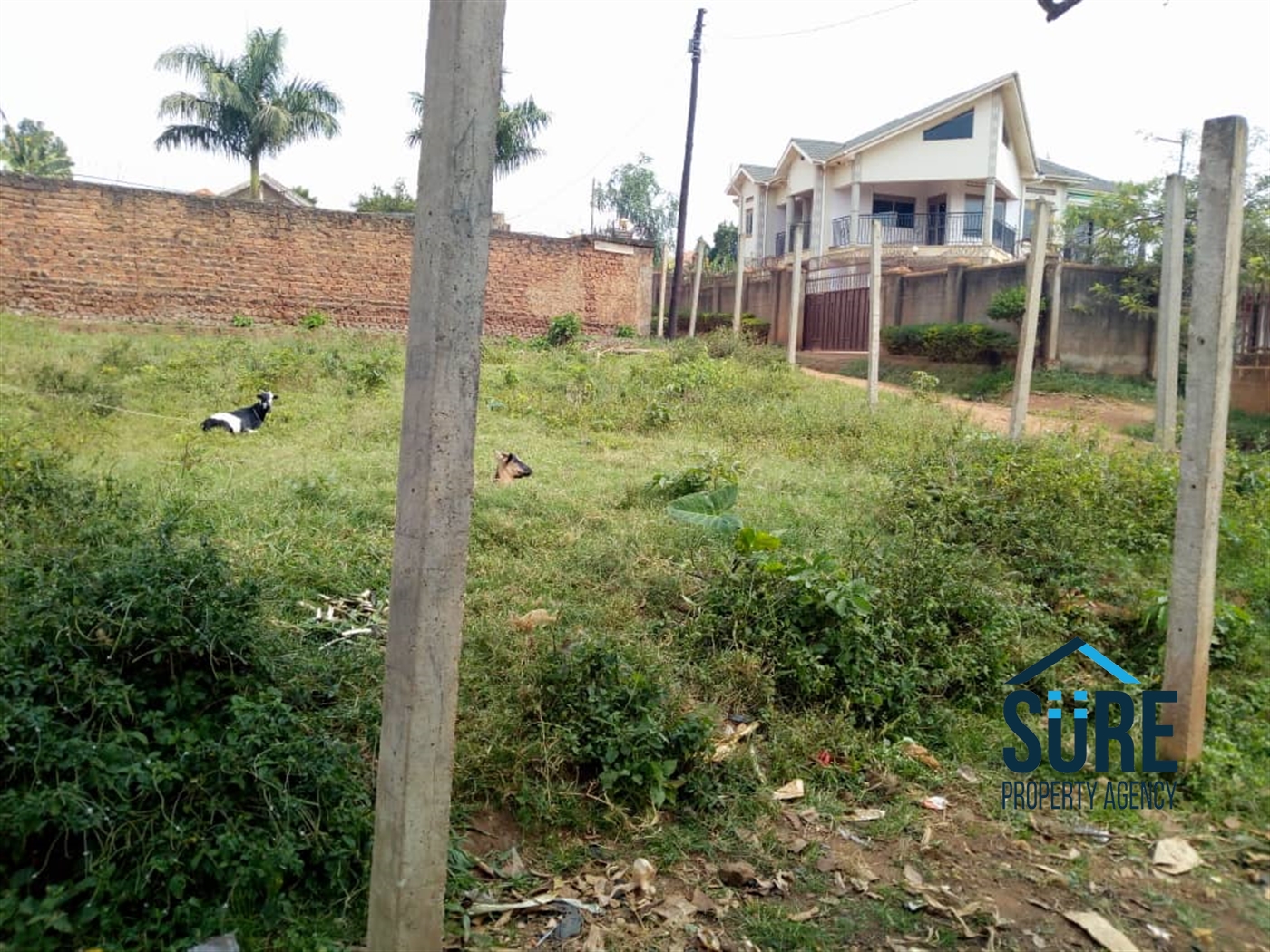 Residential Land for sale in Najjera Wakiso