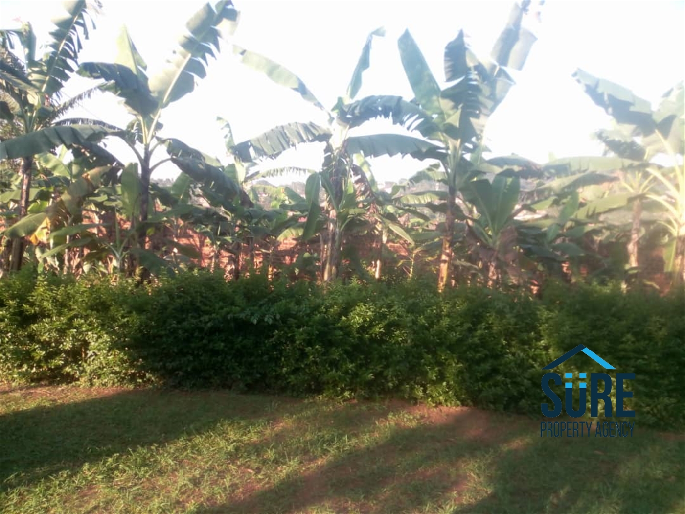 Bungalow for rent in Seeta Mukono