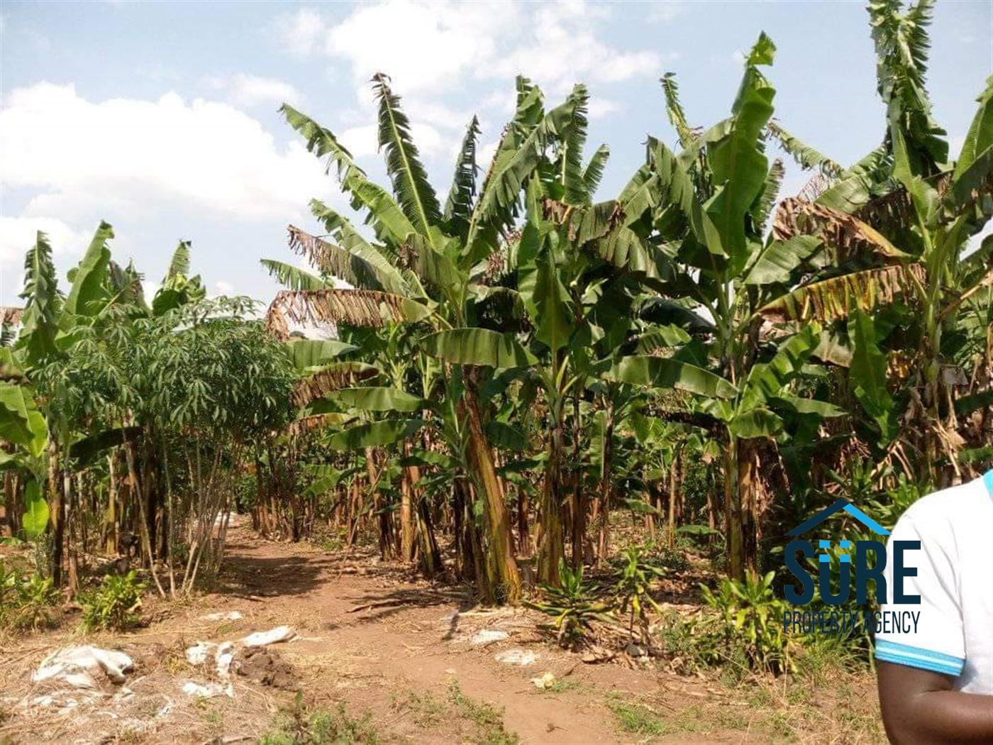 Residential Land for sale in Matugga Wakiso