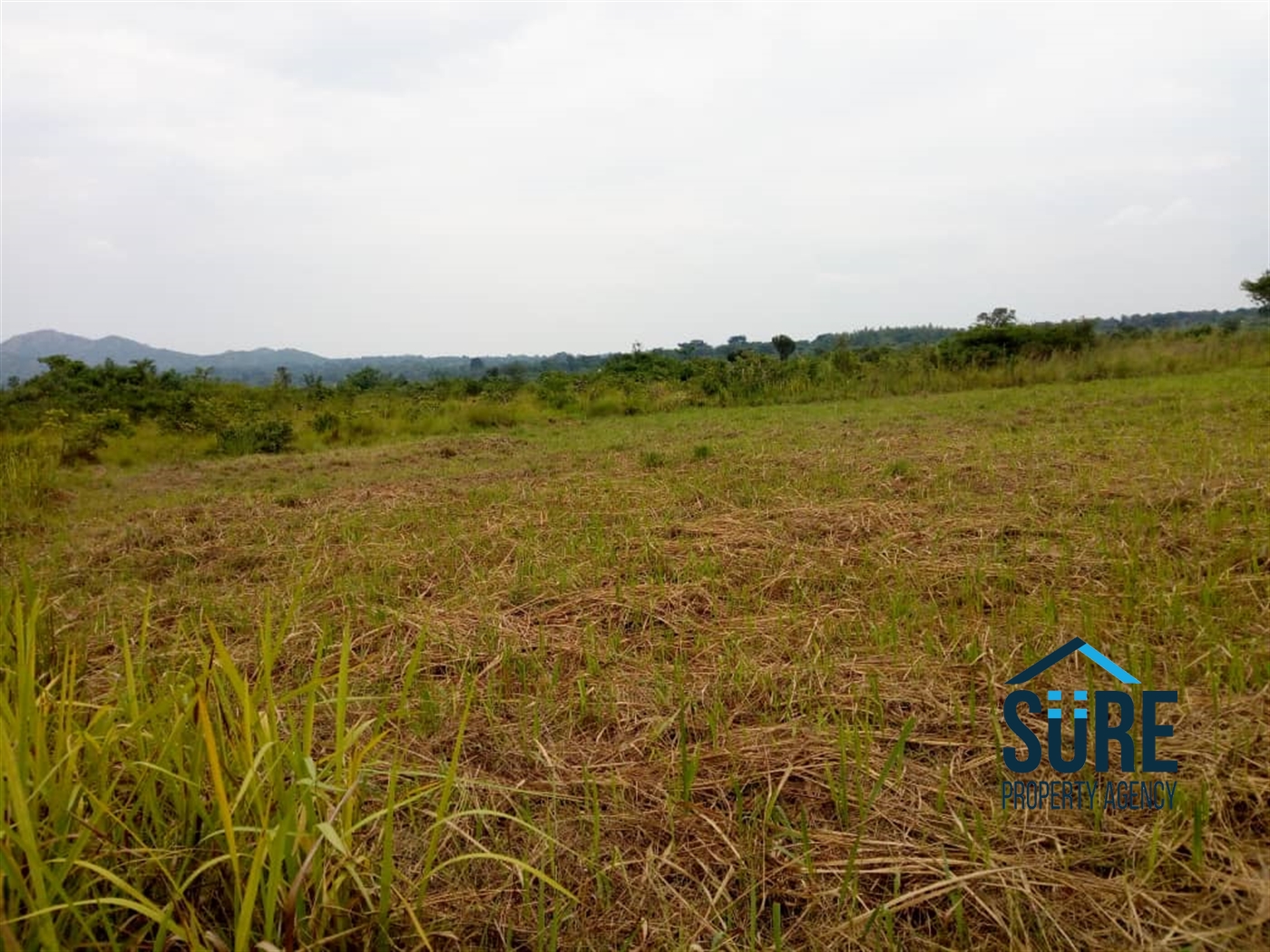 Agricultural Land for sale in Mboga Luweero