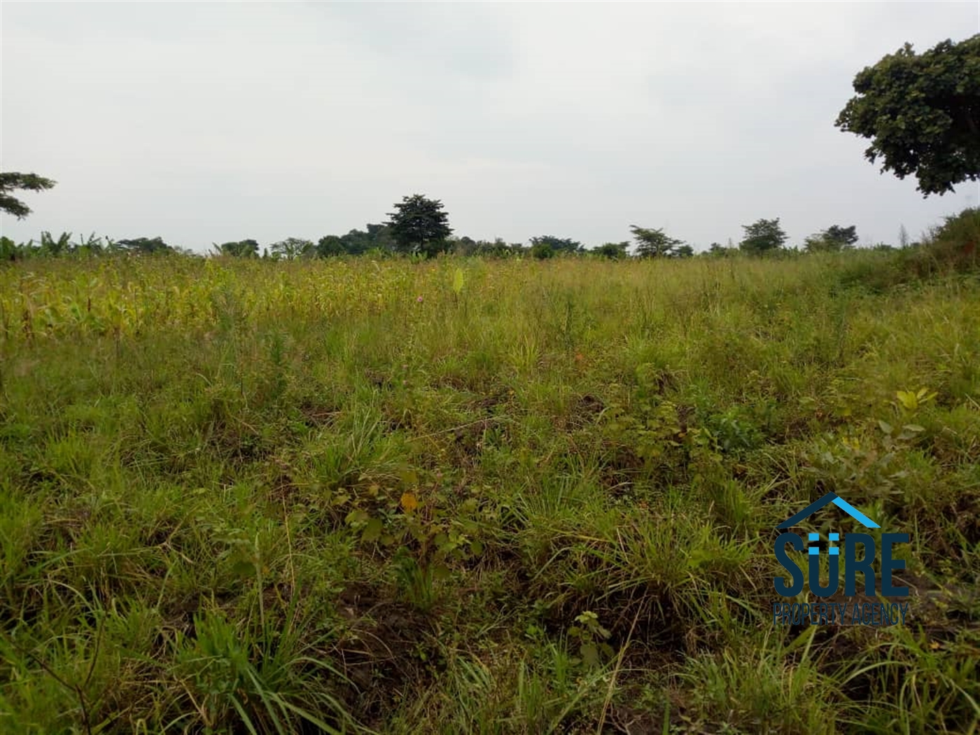 Agricultural Land for sale in Mboga Luweero