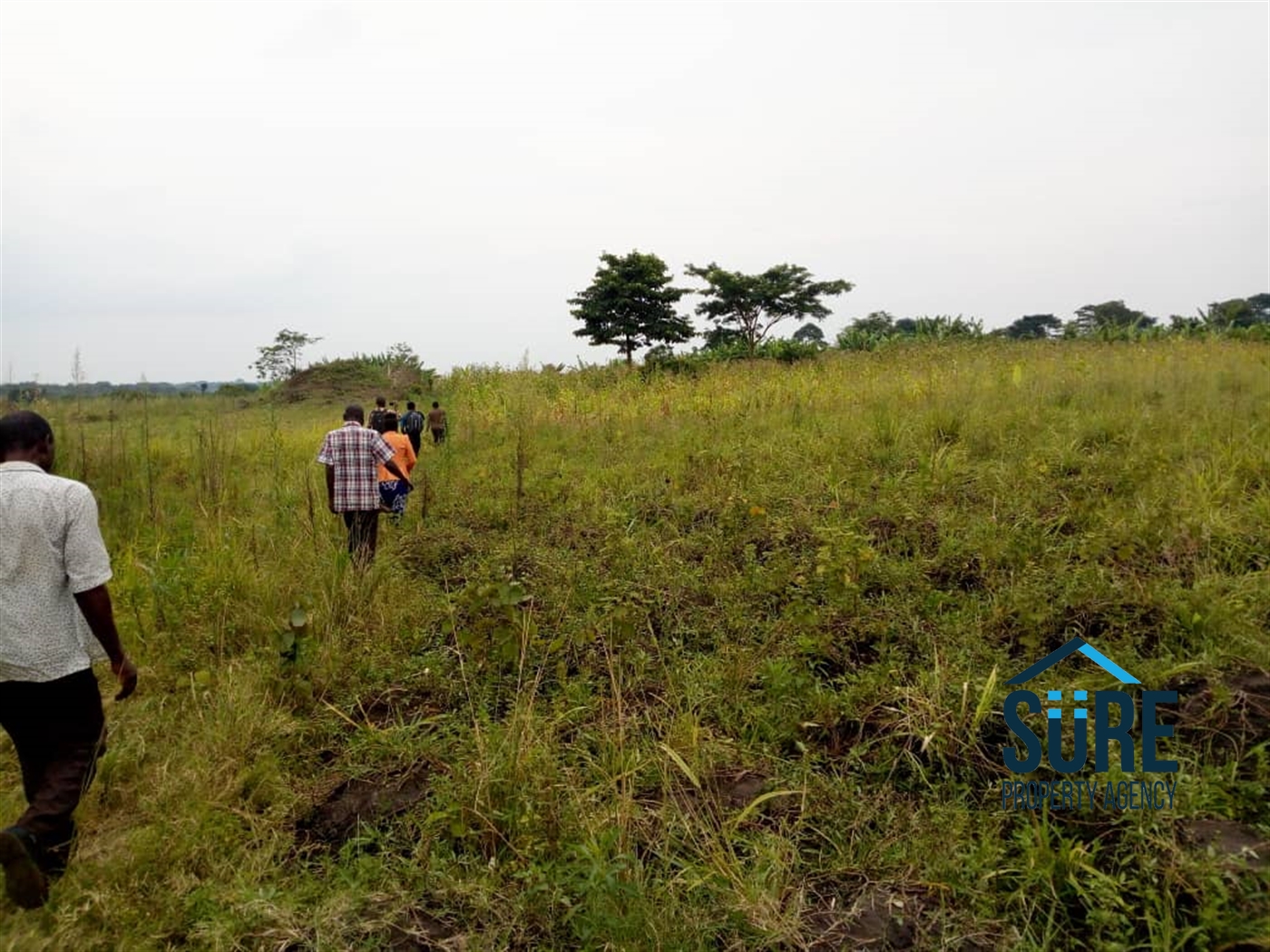 Agricultural Land for sale in Mboga Luweero