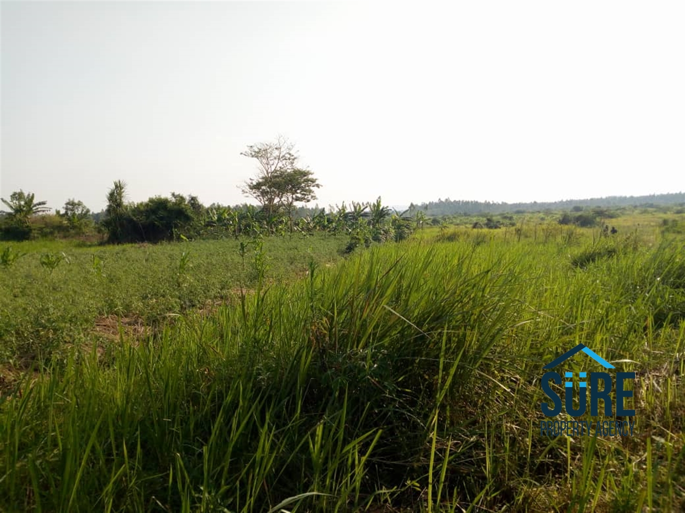 Residential Land for sale in Busiika Luweero