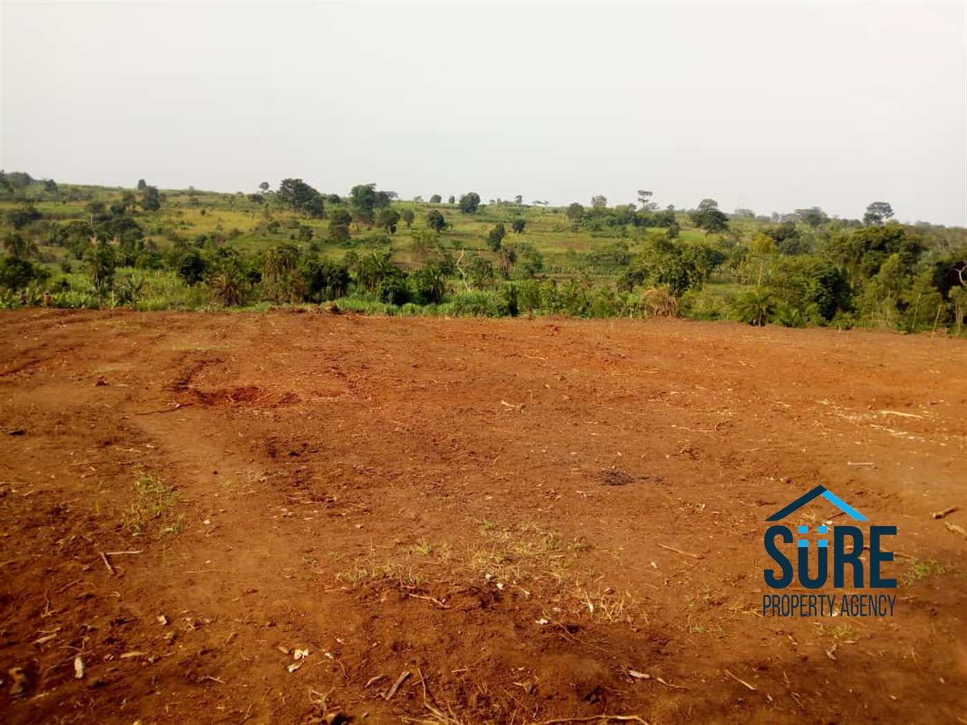 Residential Land for sale in Busukuma Wakiso