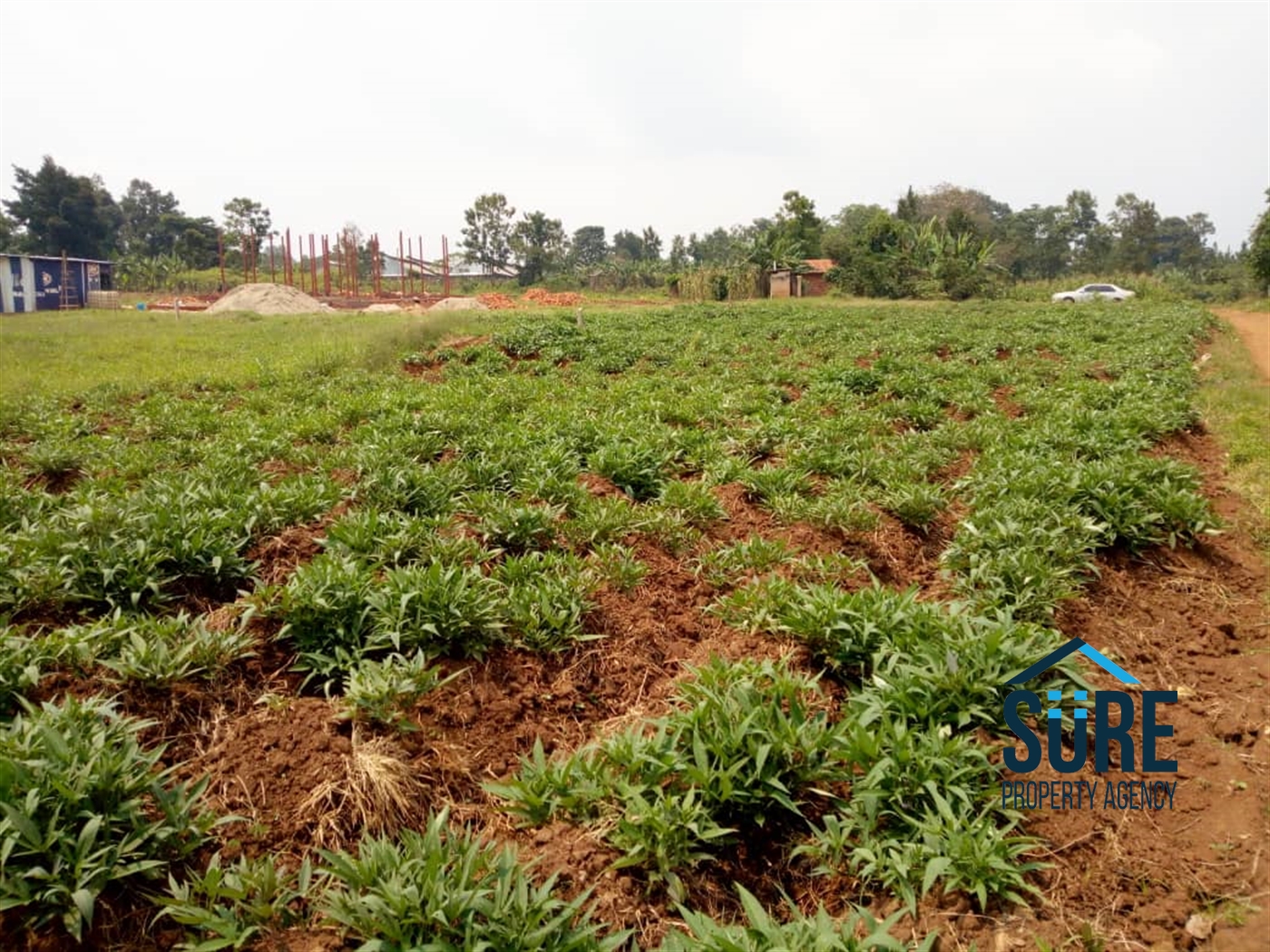 Multipurpose Land for sale in Nakassajja Mukono