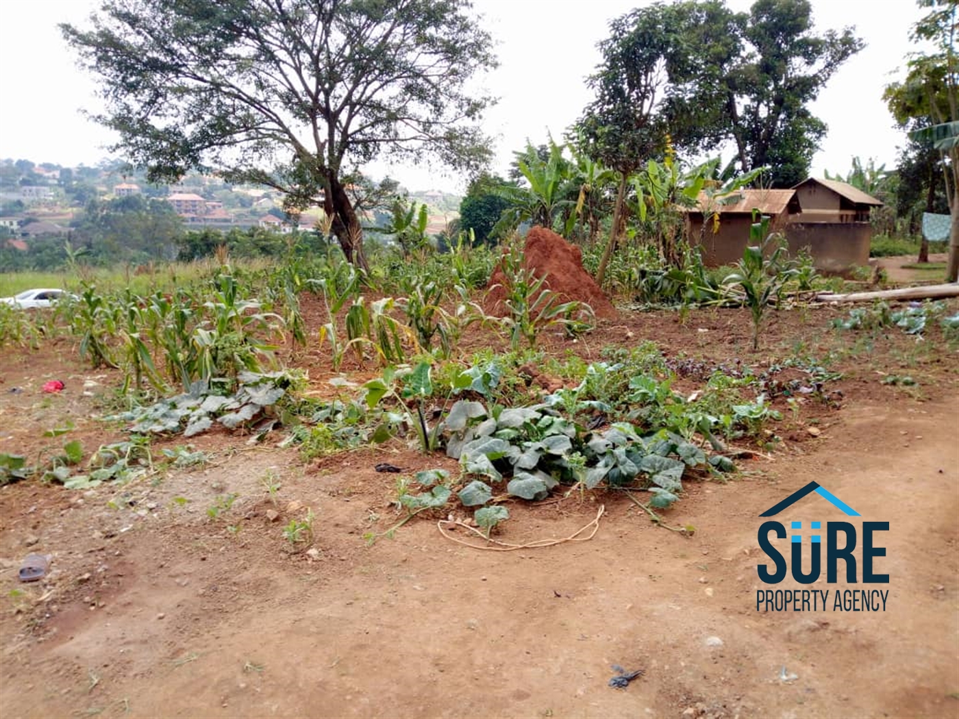 Multipurpose Land for sale in Kira Wakiso