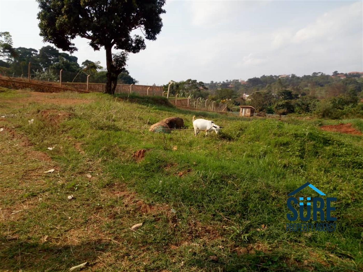 Multipurpose Land for sale in Buwaate Wakiso