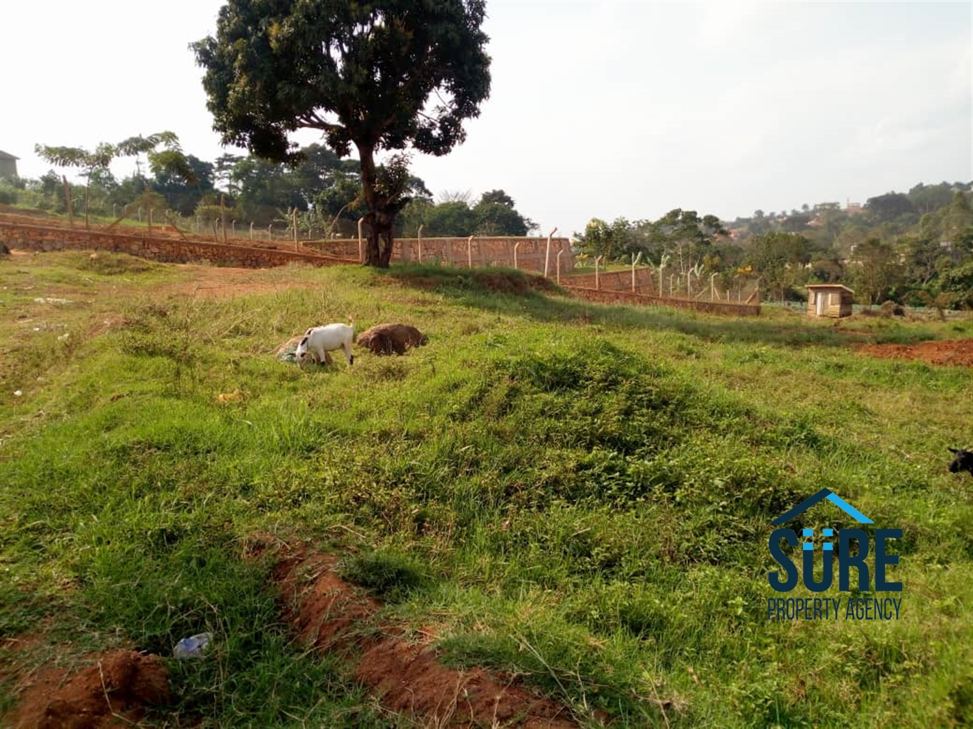 Multipurpose Land for sale in Buwaate Wakiso