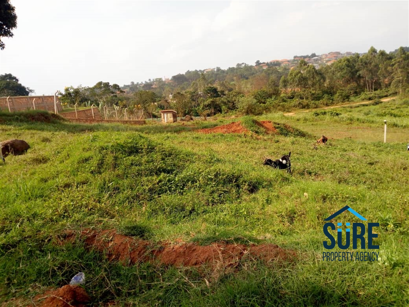 Multipurpose Land for sale in Buwaate Wakiso