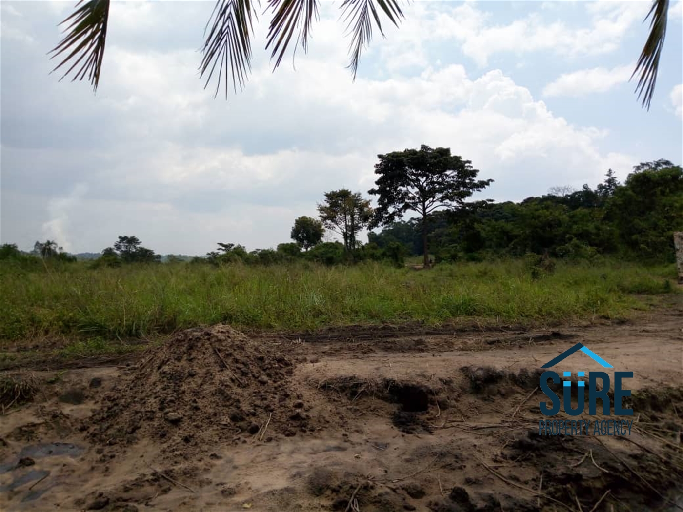 Multipurpose Land for sale in Busiika Luweero