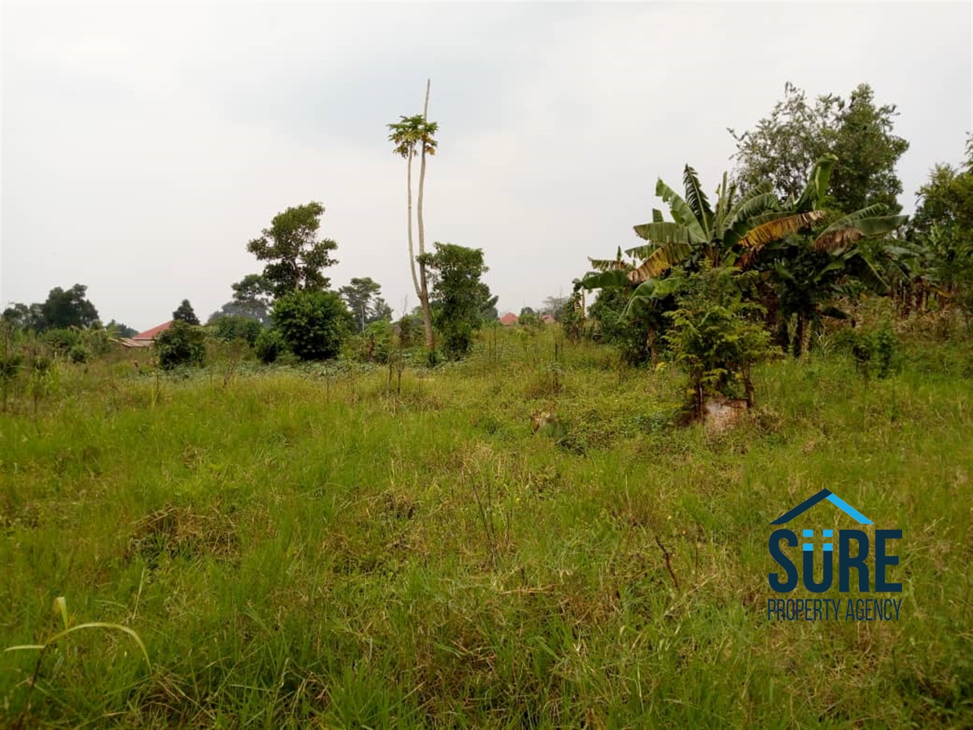 Multipurpose Land for sale in Kijabijo Wakiso