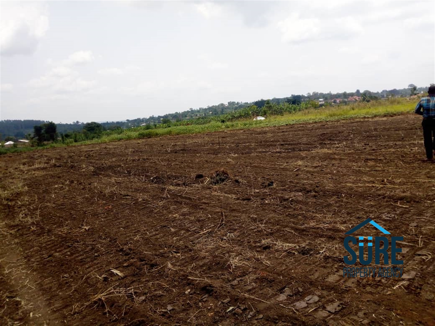 Multipurpose Land for sale in Nakassajja Mukono