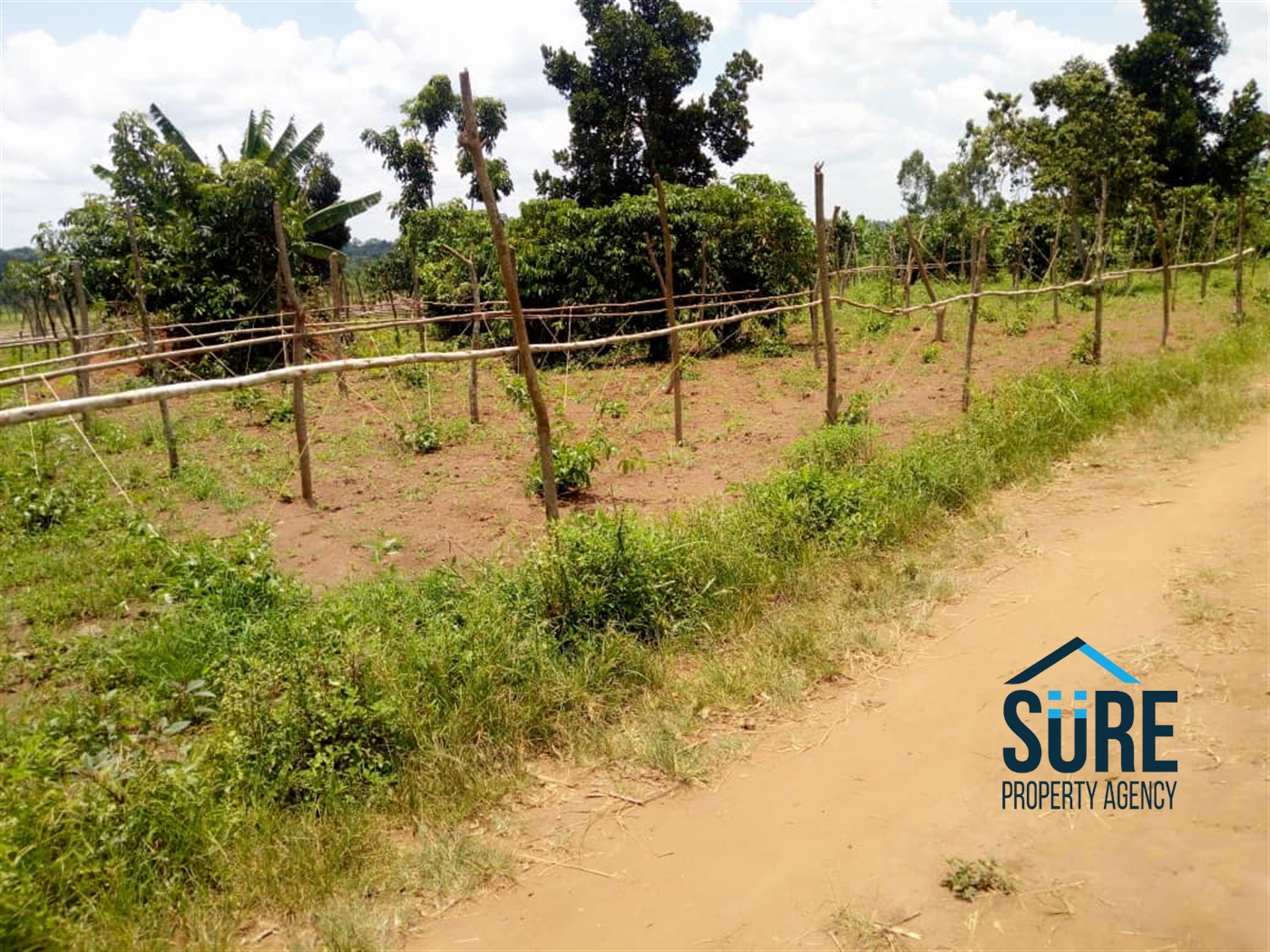 Multipurpose Land for sale in Bulami Luweero