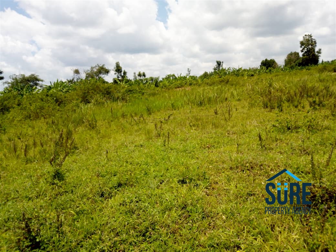 Multipurpose Land for sale in Bulami Luweero