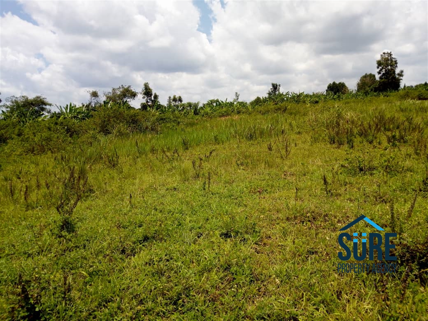 Multipurpose Land for sale in Bulami Luweero