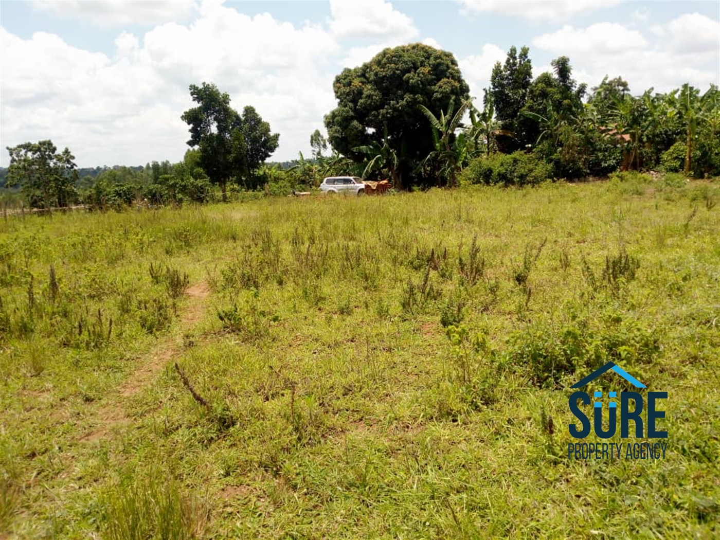 Multipurpose Land for sale in Bulami Luweero