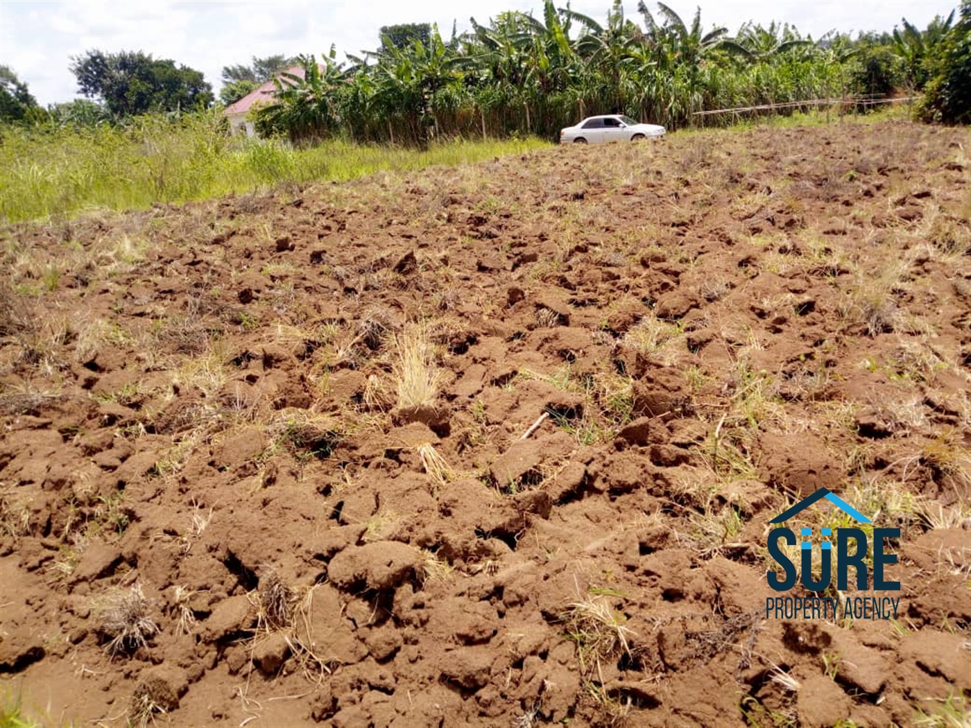 Multipurpose Land for sale in Bulami Luweero