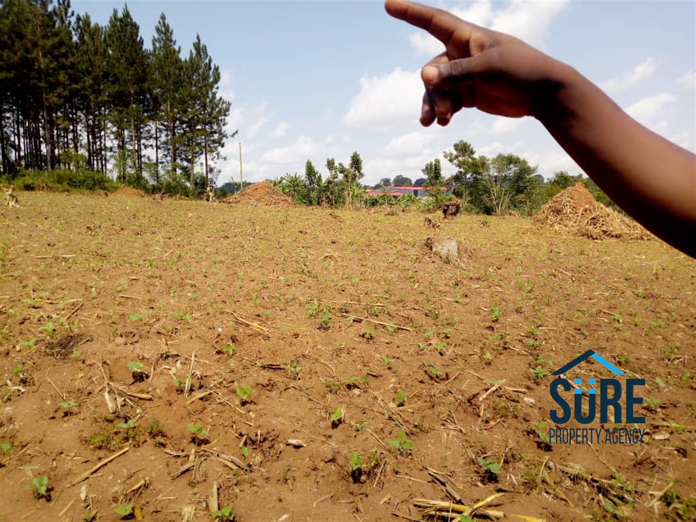 Residential Land for sale in Bugema Wakiso