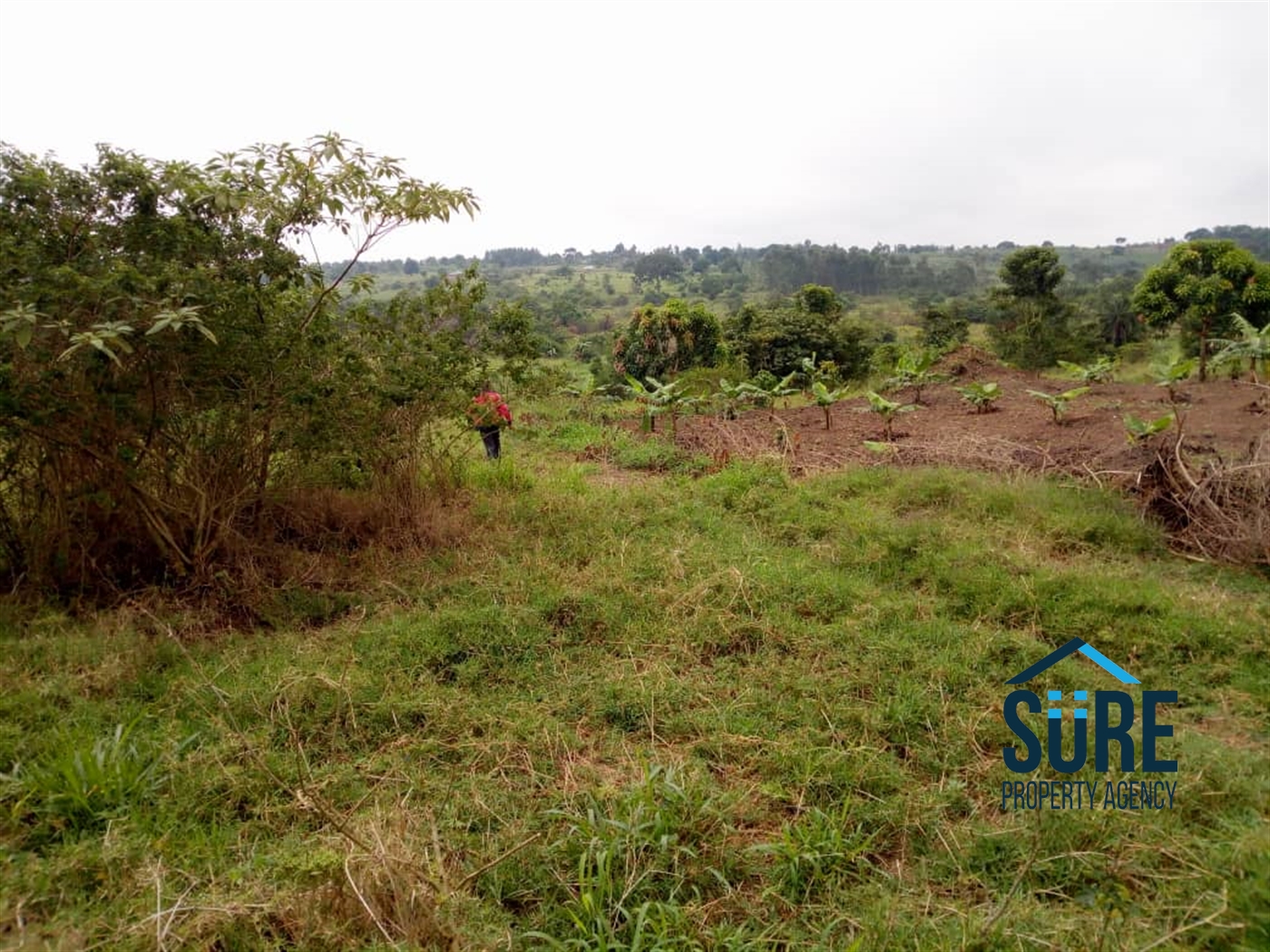 Multipurpose Land for sale in Kiwende Wakiso