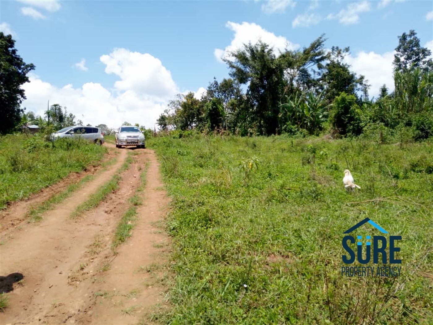 Multipurpose Land for sale in Namulonge Wakiso