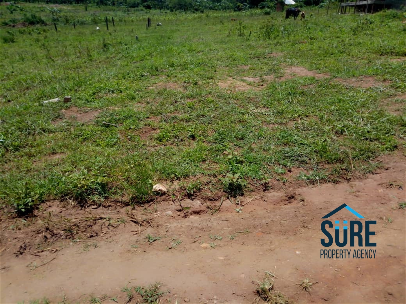 Multipurpose Land for sale in Namulonge Wakiso