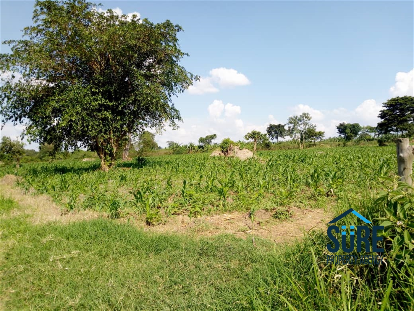 Multipurpose Land for sale in Gayaza Kalungu