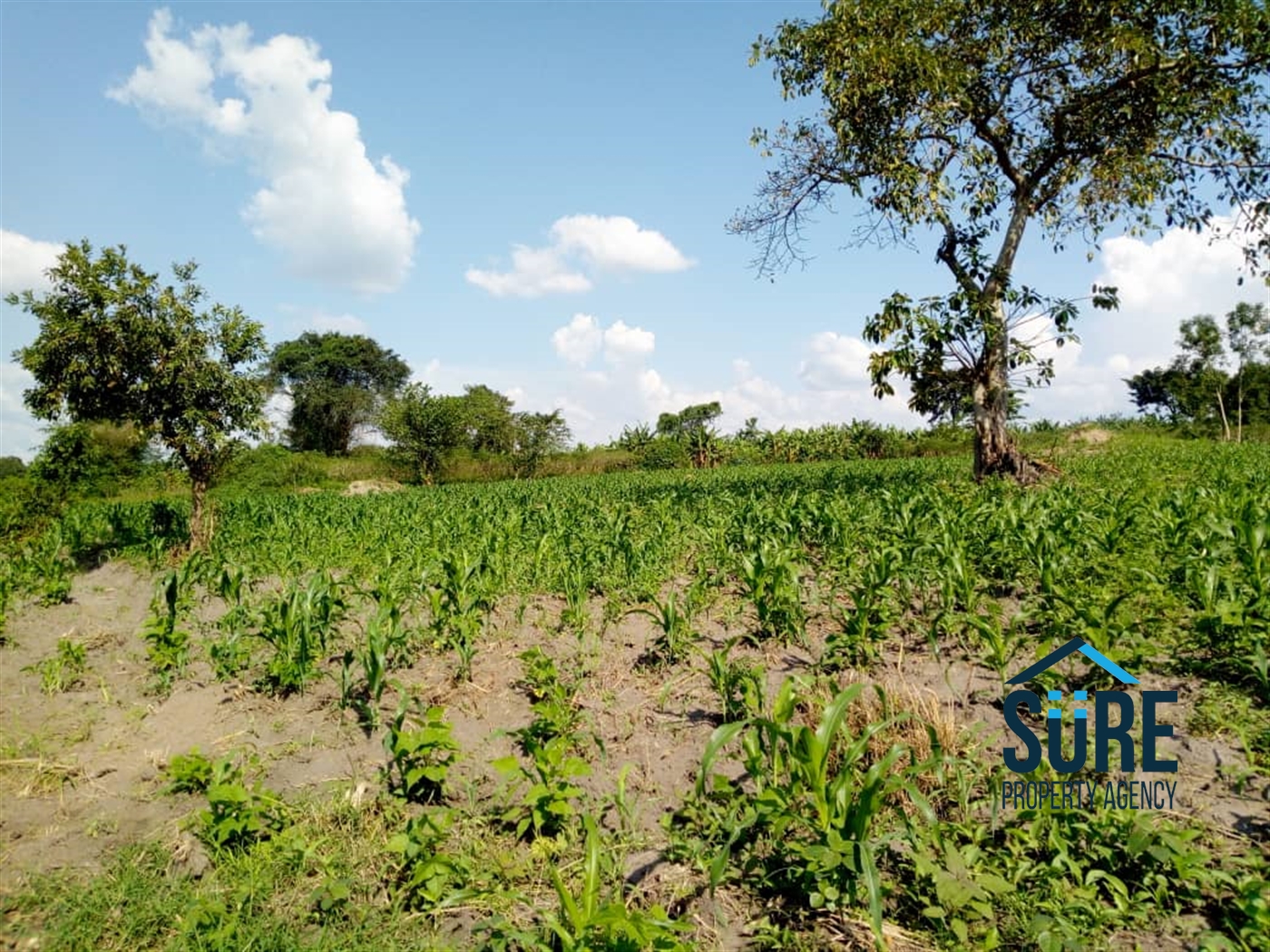 Multipurpose Land for sale in Gayaza Kalungu