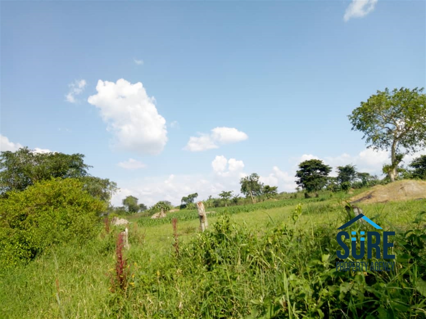 Multipurpose Land for sale in Gayaza Kalungu