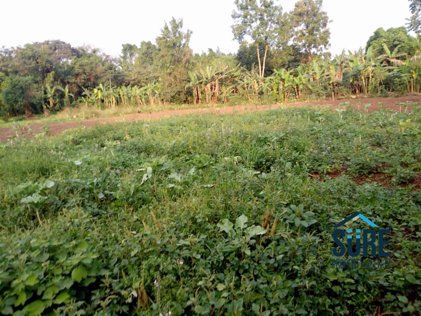 Multipurpose Land for sale in Bulindo Wakiso