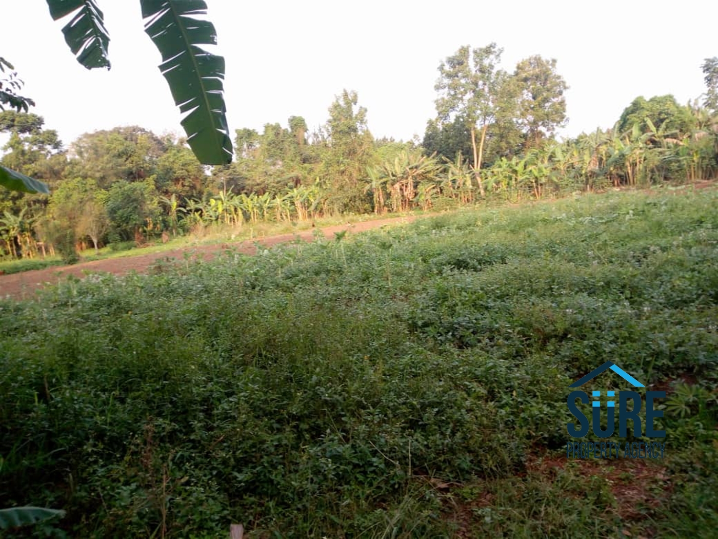 Multipurpose Land for sale in Bulindo Wakiso