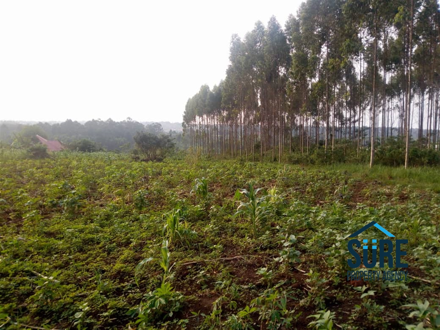 Multipurpose Land for sale in Bulindo Wakiso