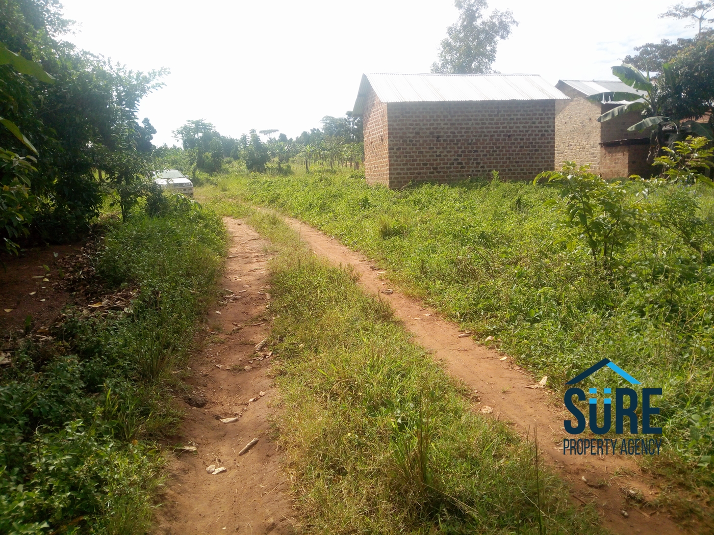 Residential Land for sale in Nakassajja Mukono