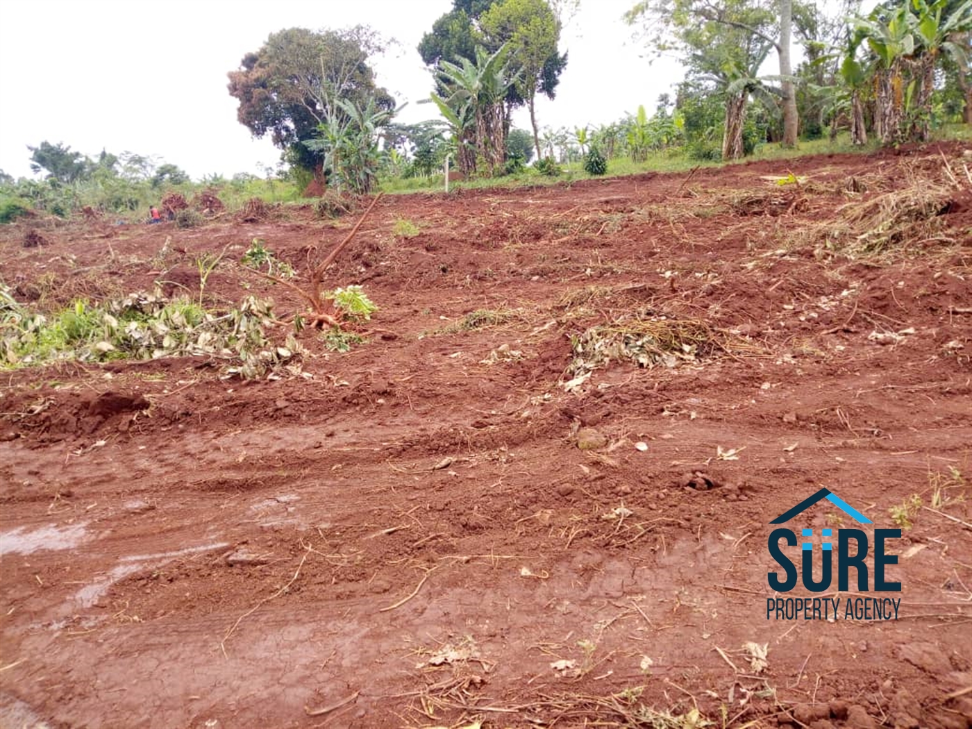 Multipurpose Land for sale in Nakassajja Mukono