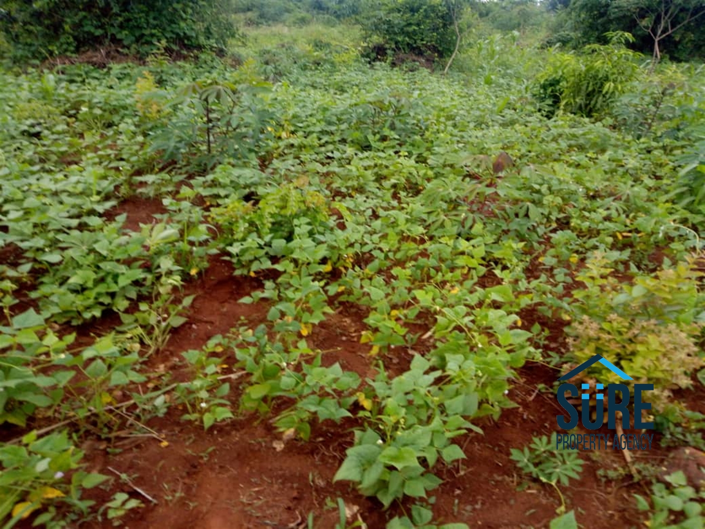 Multipurpose Land for sale in Ziloobwe Luweero