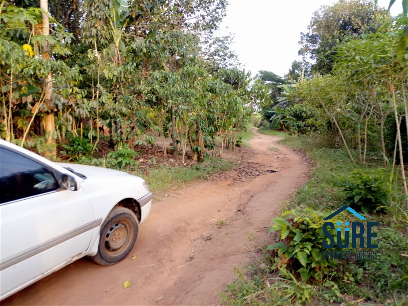 Multipurpose Land for sale in Busiika Luweero