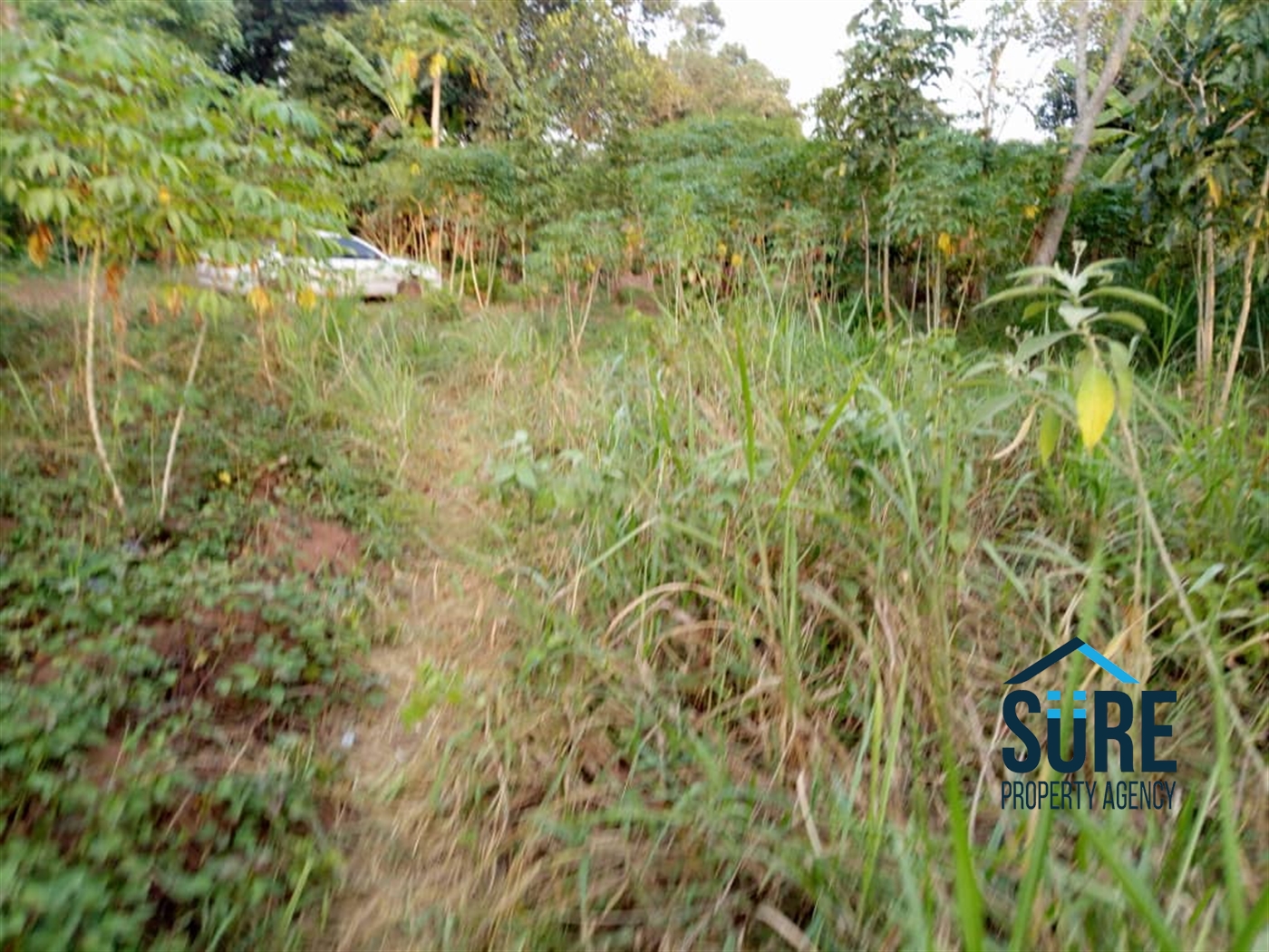 Multipurpose Land for sale in Busiika Luweero