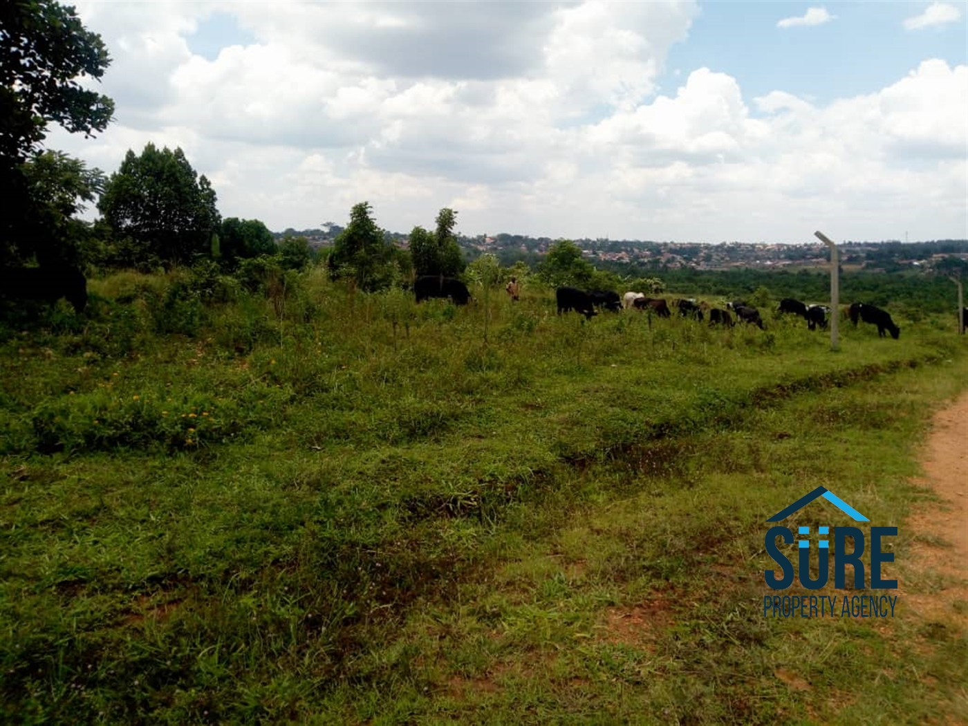 Residential Land for sale in Bulindo Wakiso