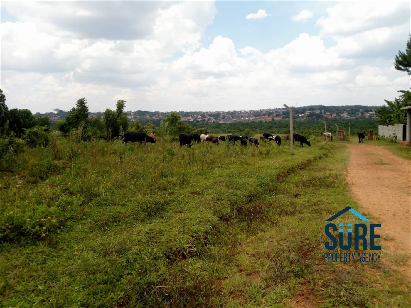 Residential Land for sale in Bulindo Wakiso