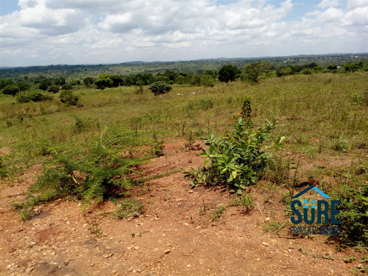 Residential Land for sale in Busiika Luweero