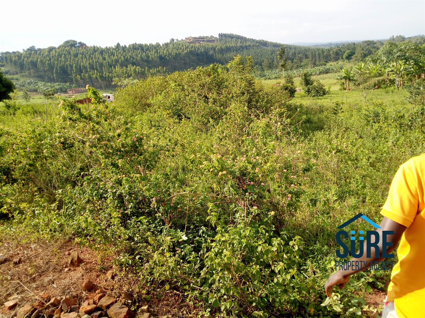 Residential Land for sale in Bugema Wakiso