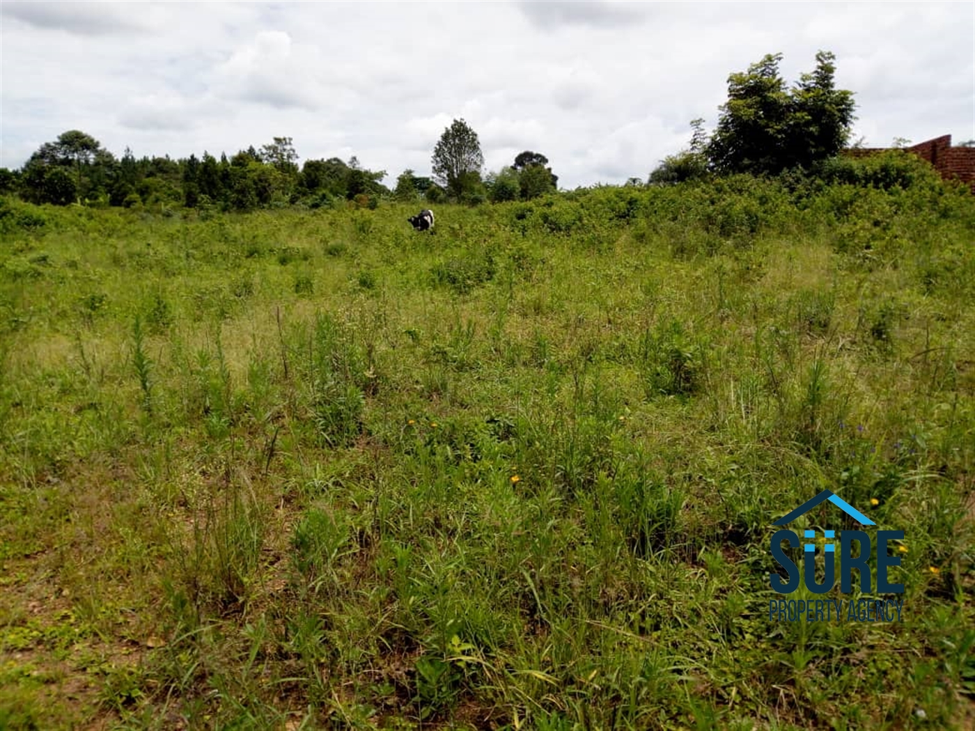 Residential Land for sale in Mpiji Luweero