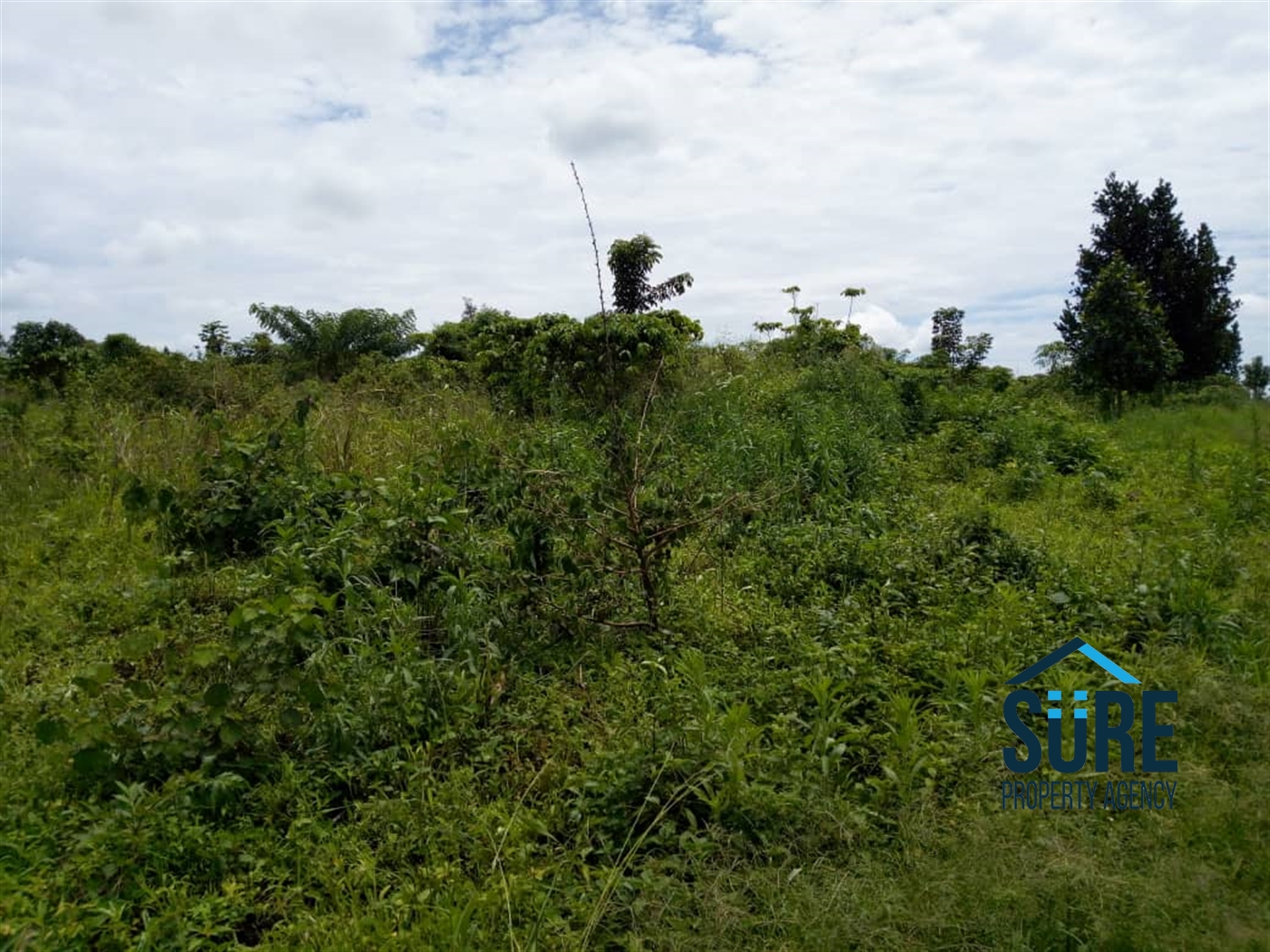 Residential Land for sale in Mpiji Luweero