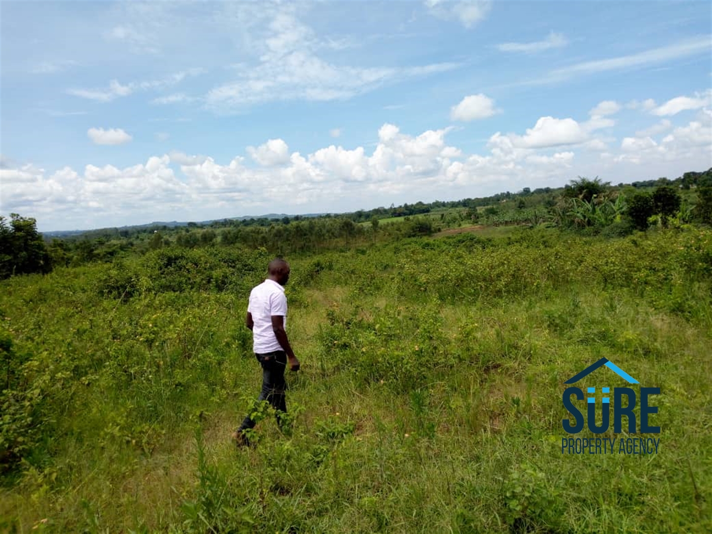 Residential Land for sale in Mpiji Luweero