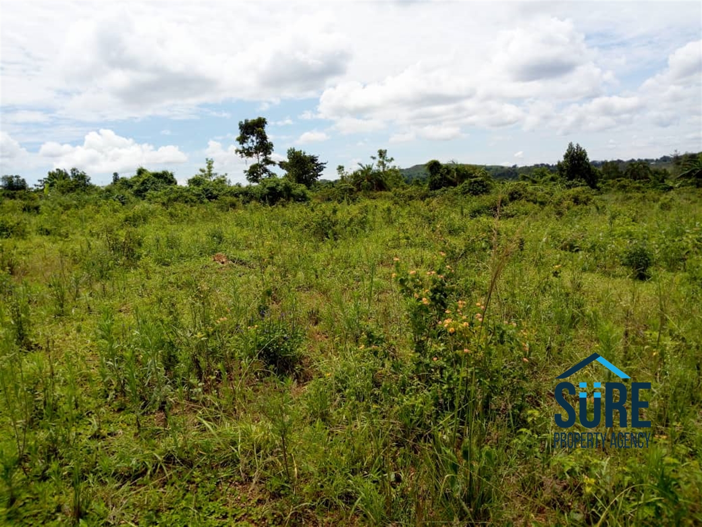 Residential Land for sale in Mpiji Luweero