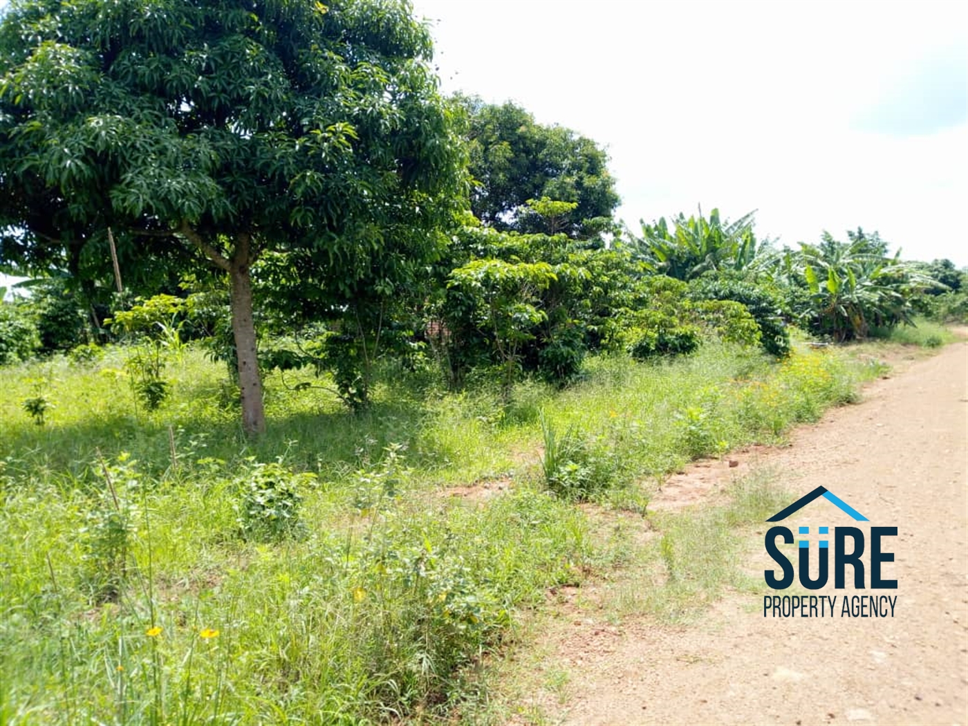 Agricultural Land for sale in Mboga Luweero