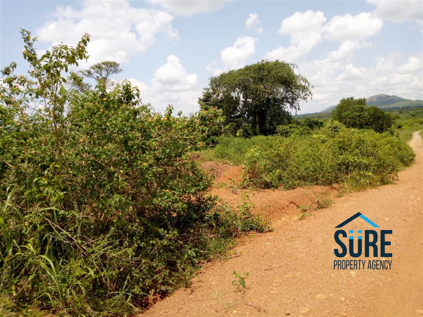 Agricultural Land for sale in Mboga Luweero